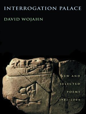 cover image of Interrogation Palace